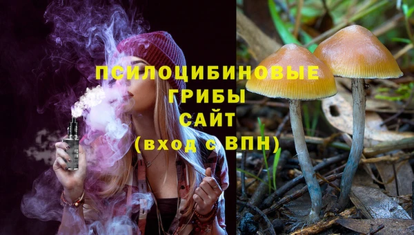 молекула духа Балахна