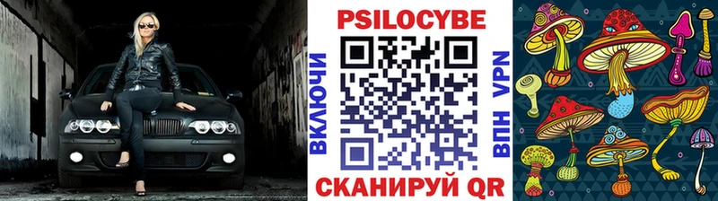Купить где  Богданович  Псилоцибиновые грибы прущие грибы 